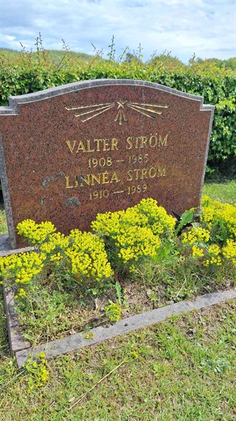 Grave number: VG D   251-252