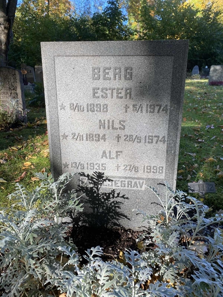 Gravnummer: 1 H   162