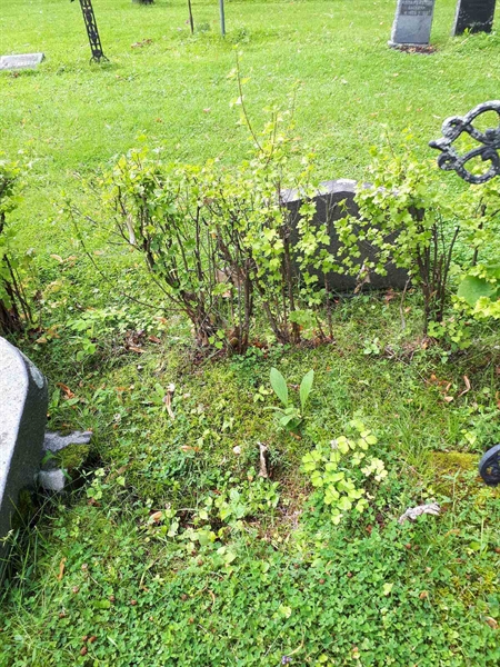 Hautatunnus: GK A 4   226H