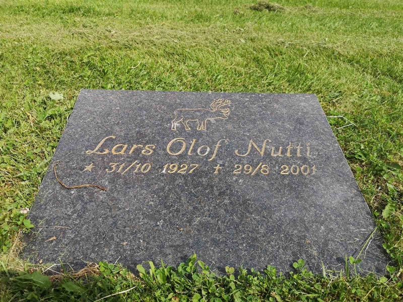 Gravnummer: PK   768