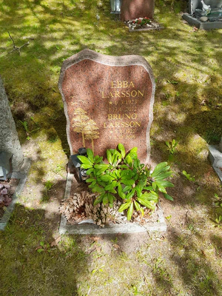 Grave number: 20 R 63