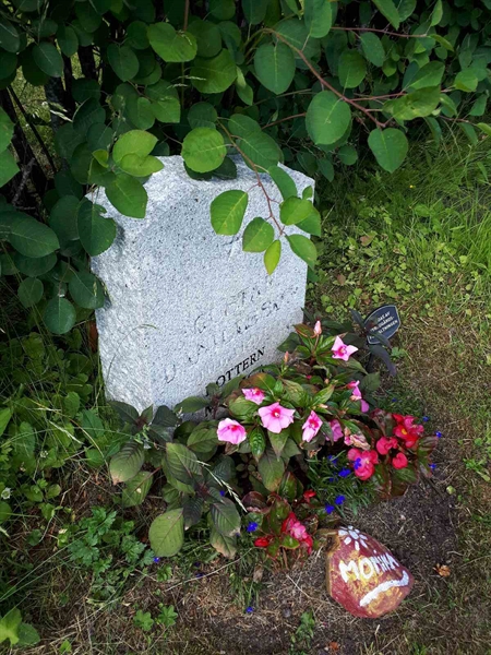 Hautatunnus: GK A 5   173H