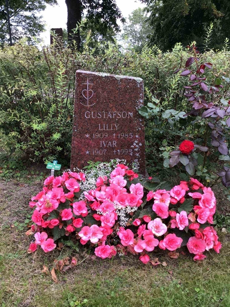 Hautatunnus: Led   261-262