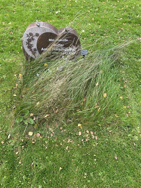 Hautatunnus: 2 C   682-683