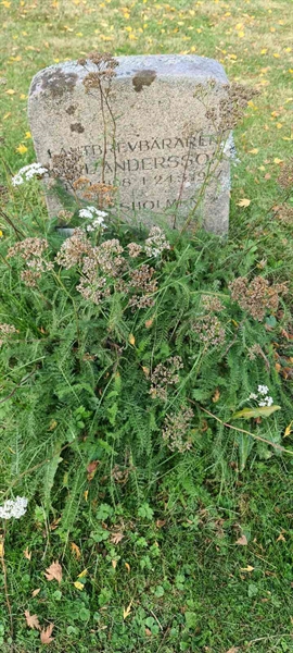 Grave number: M H   94