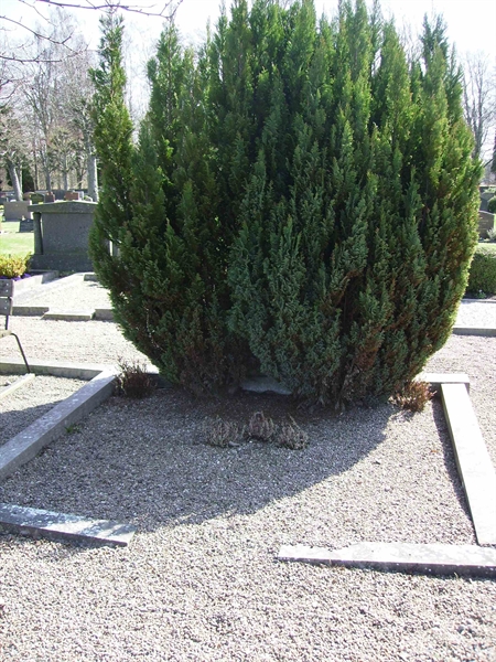 Grave number: LM 3 27  005