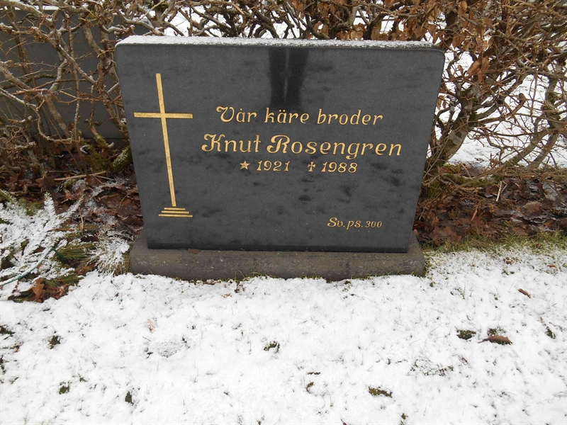 Grave number: Vitt VC3Ö    21