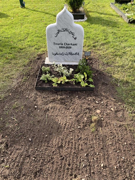 Hautatunnus: 2 G    46