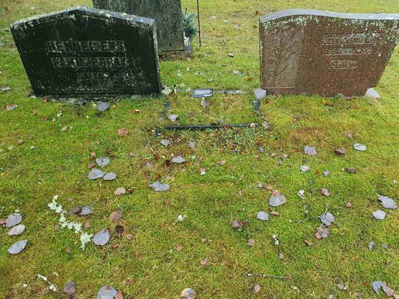 Grave number: Å N    81