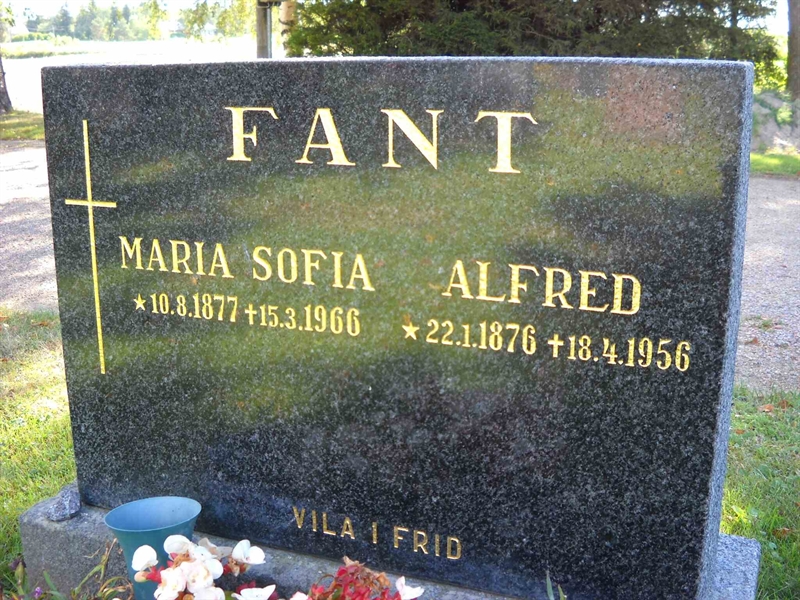 Grave number: 3 MB 17 80-81