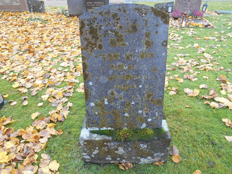 Grave number: Vitt G04    38