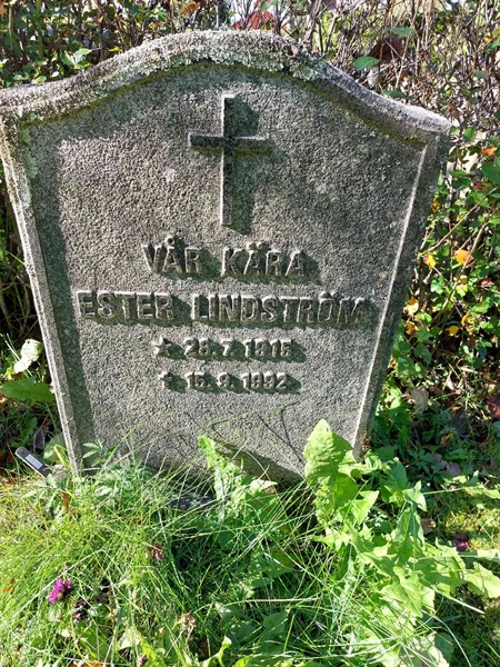 Hautatunnus: 1 L   029