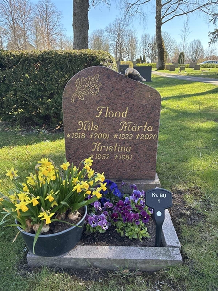 Gravnummer: 22 BU     1