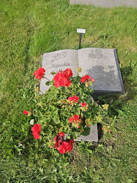 Hautatunnus: Fr 8   511-512