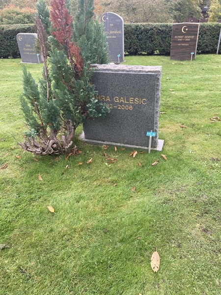 Hautatunnus: 1 3 M/Be    26