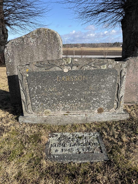 Hautatunnus: HA N   117