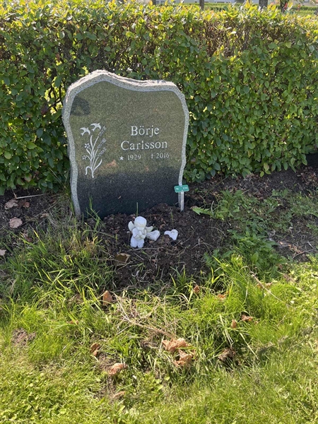 Grave number: 1 2 W   134