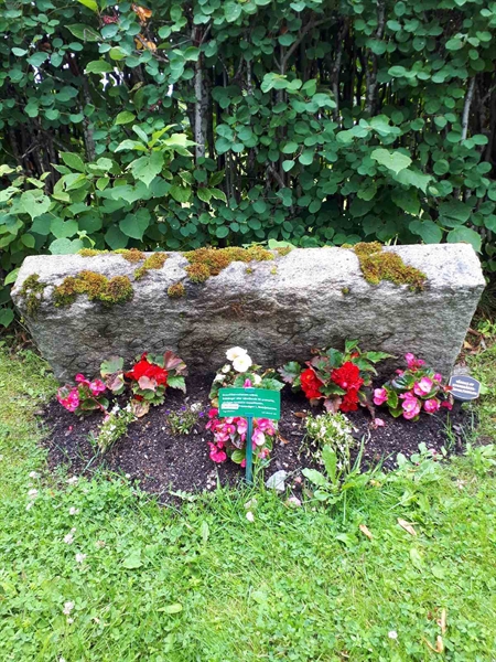 Gravnummer: GK F 5   597-598