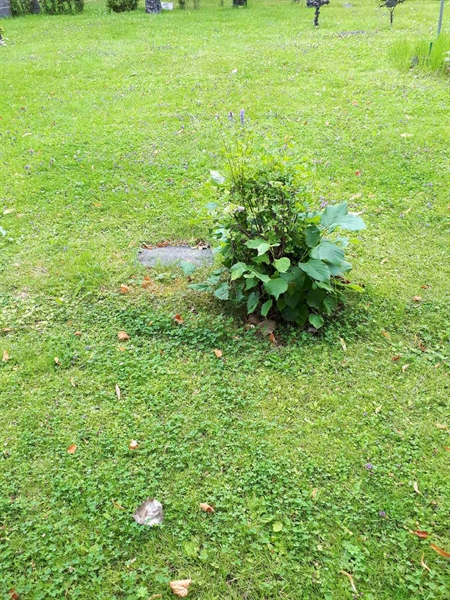 Hautatunnus: GK A 4    11H