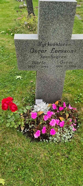 Grave number: M S  119, 120