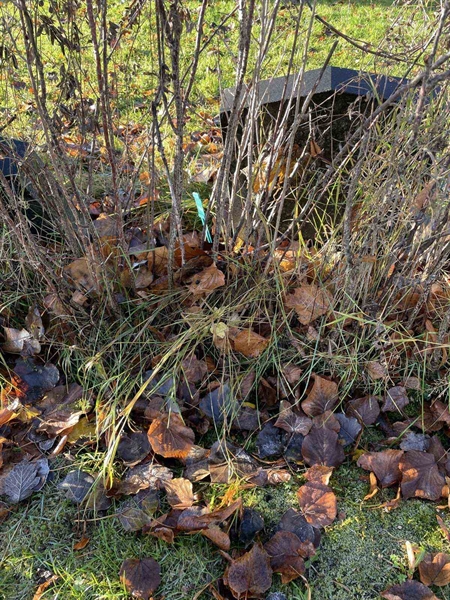 Gravnummer: GK A 3   432