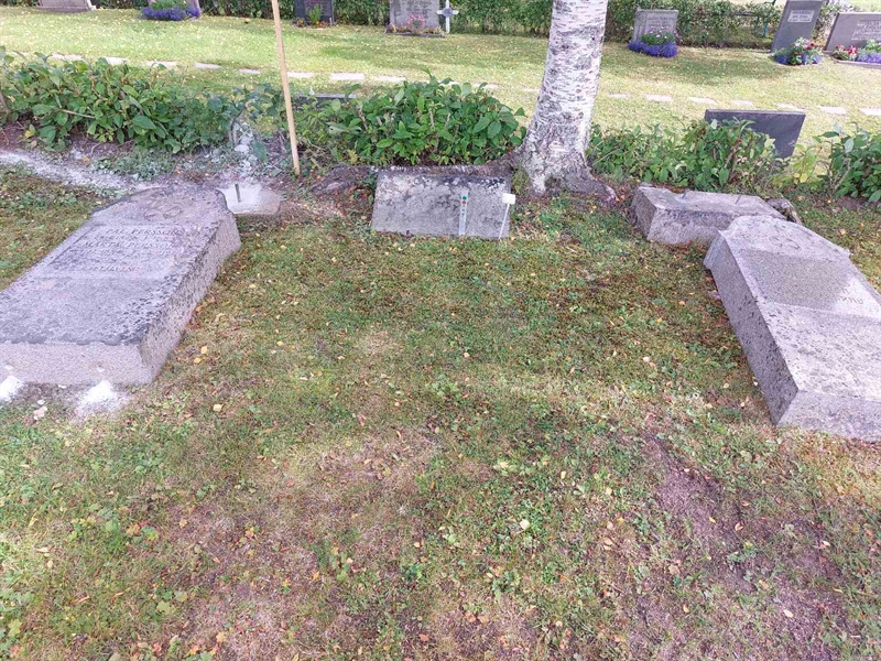 Grave number: FÖ 3    20