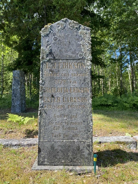 Gravnummer: 1 10 10
