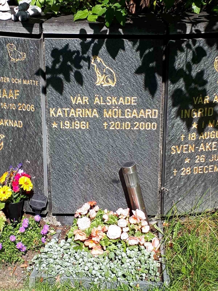 Hautatunnus: GK U 4   344