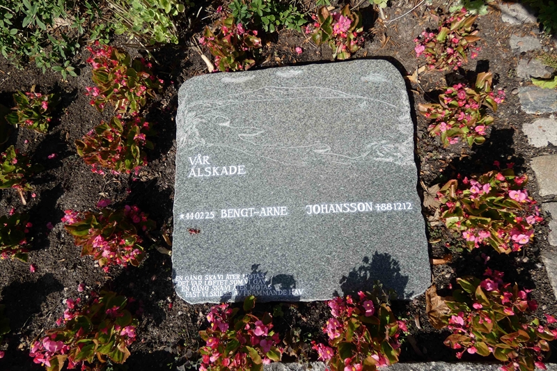 Grave number: TR U2    43