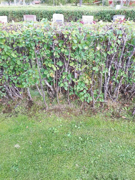 Grave number: NK F B   128