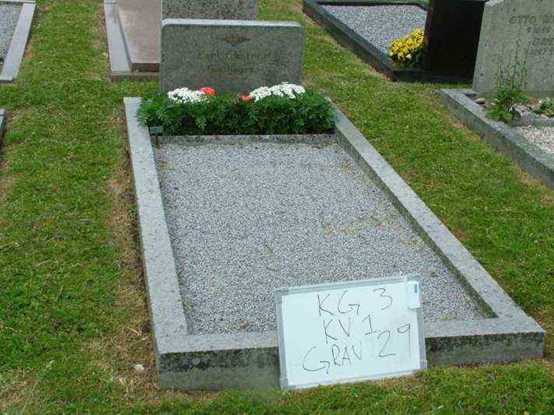 Gravnummer: 3 01    29