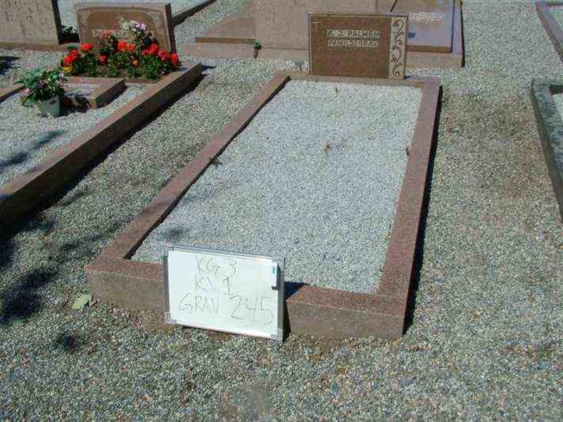 Gravnummer: 3 01   245