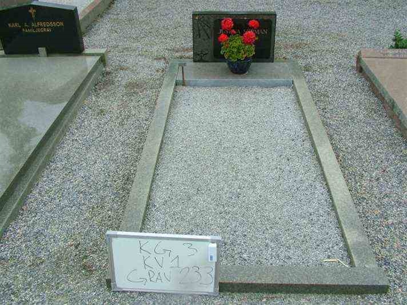 Gravnummer: 3 01   233