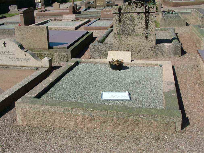 Hautatunnus: 2   805-806