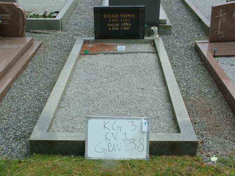 Gravnummer: 3 01    38