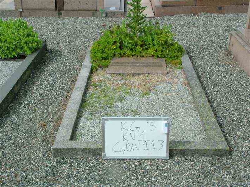 Gravnummer: 3 01   113