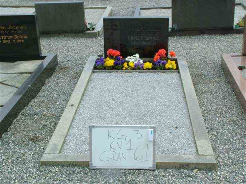 Hautatunnus: 3 01    61