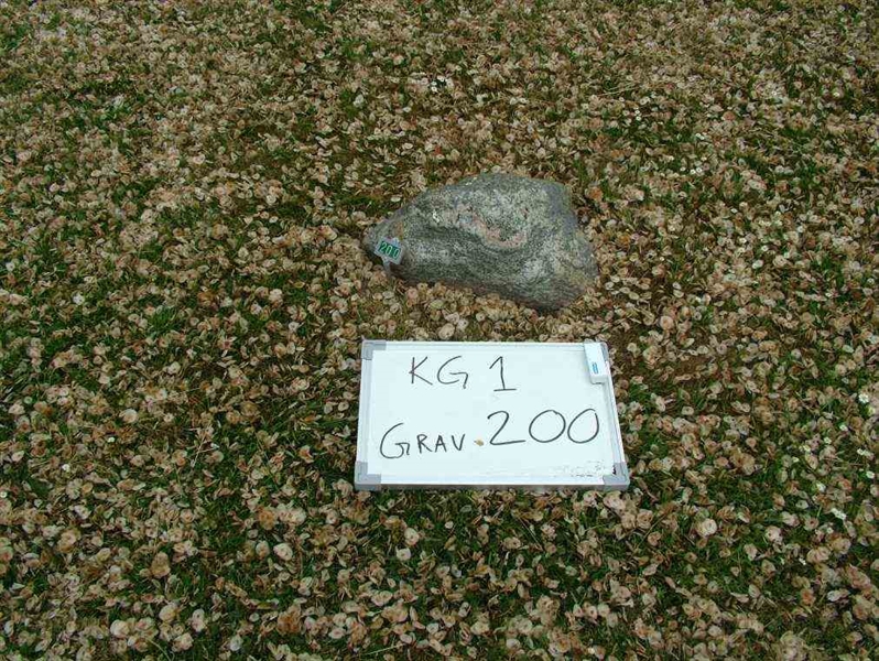 Hautatunnus: 1   200