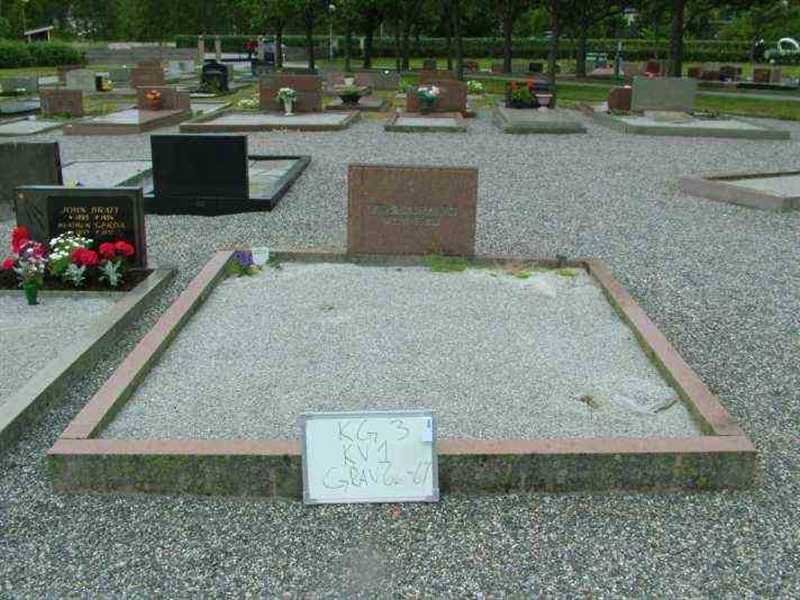 Gravnummer: 3 01    66-67