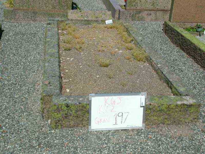 Gravnummer: 3 02   197