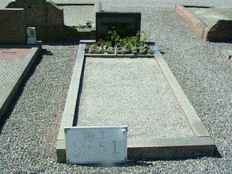 Gravnummer: 3 02    51