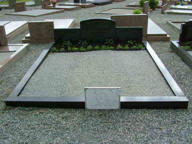 Hautatunnus: 3 01   132-133