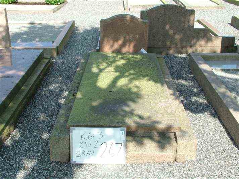 Hautatunnus: 3 02   267