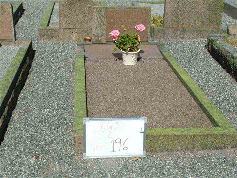 Hautatunnus: 3 02   196