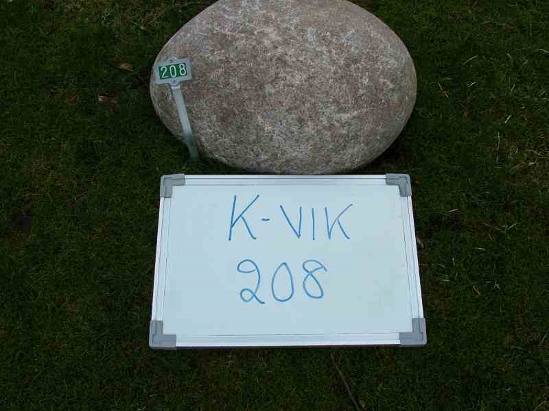 Gravnummer: 1   208