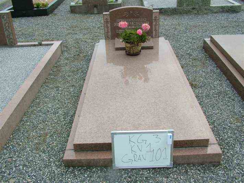 Gravnummer: 3 01   101