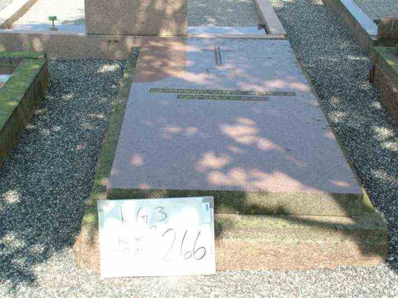 Hautatunnus: 3 02   266