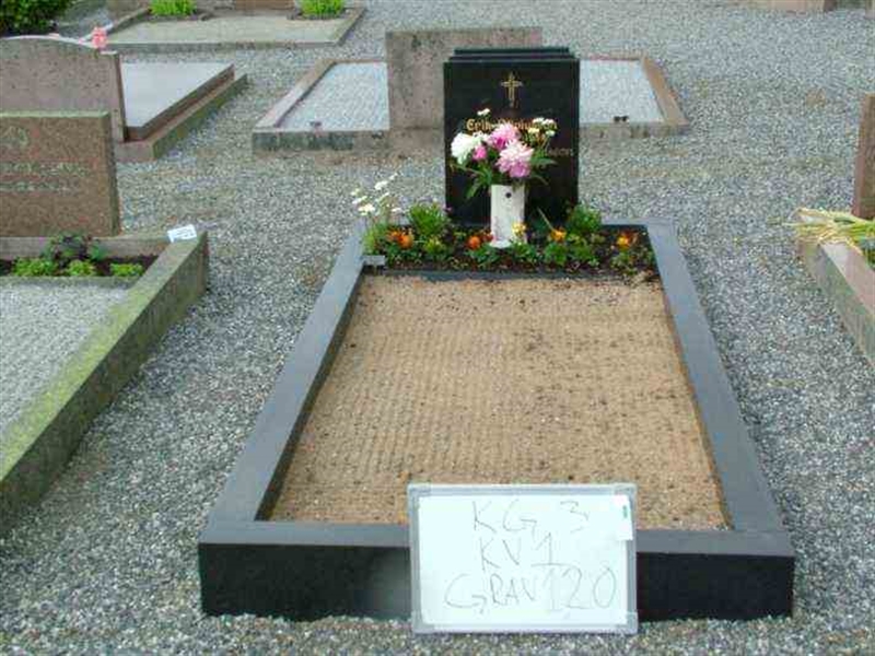 Gravnummer: 3 01   120