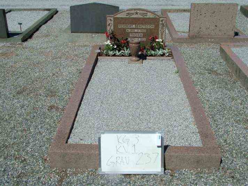 Gravnummer: 3 01   237