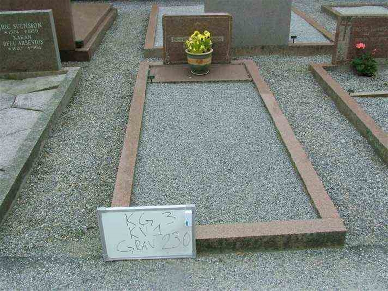 Gravnummer: 3 01   230